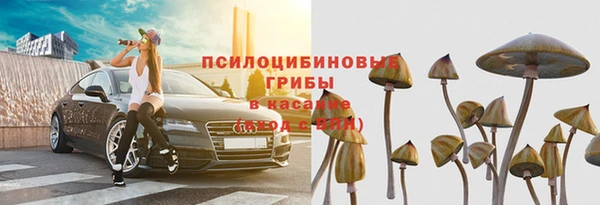 соль ск Лагань