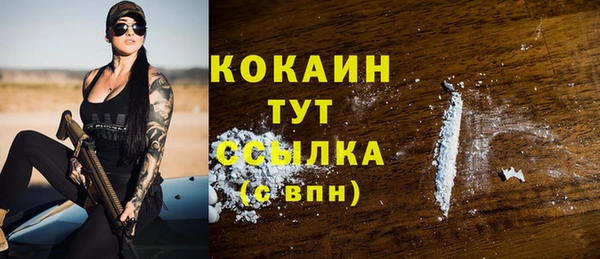 соль ск Лагань