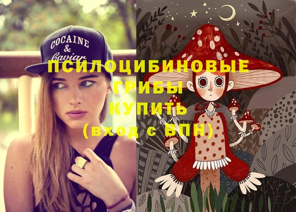соль ск Лагань
