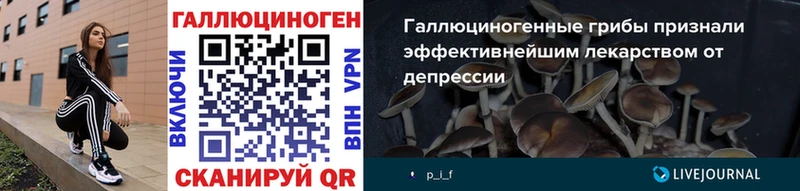 Купить  Сурск  Галлюциногенные грибы Magic Shrooms 